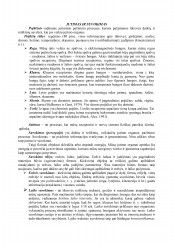 www.speros.lt